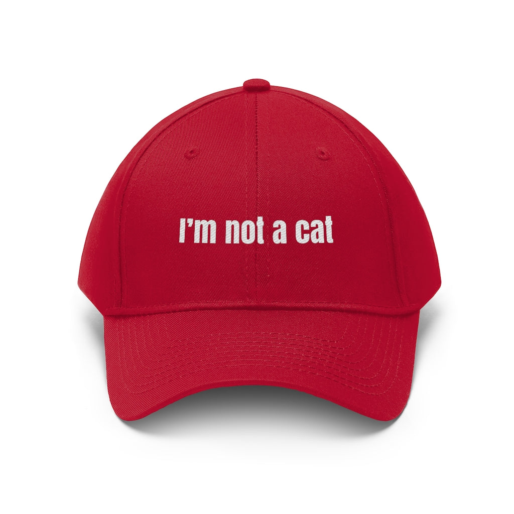 I'm Not a Cat Hat