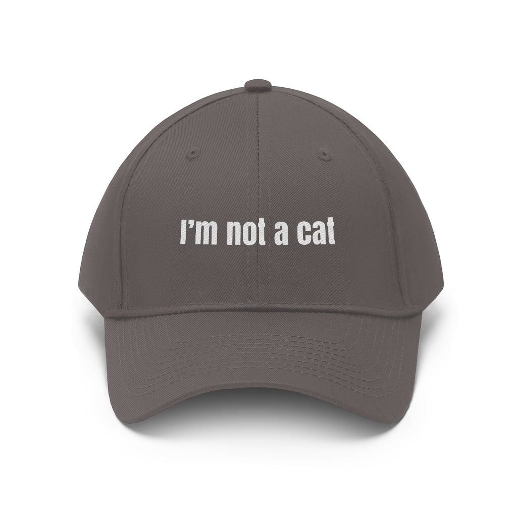 I'm Not a Cat Hat